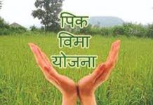 पीक विम्याच्या लाभापासून एकही पात्र नुकसानग्रस्त शेतकरी सुटू नये – पालकमंत्री डॉ. राजेंद्र शिंगणे