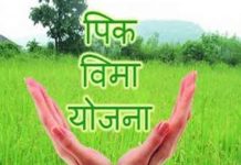 पावसाने नुकसान झालंय; 72 तासात विमा कंपनीला द्या माहिती
