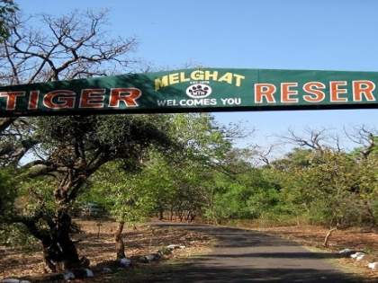 melghat-tiger-reserve-dk_201903210287