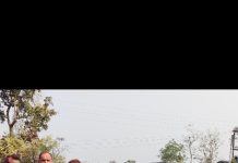 रस्ता अपघातात सांबर ठार तळोधी बा. वनपरिक्षेत्रातील घटना