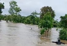 विलम येथील मुलगा पुलावरून फिरताना गेला वाहून शोधाशोध सुरू