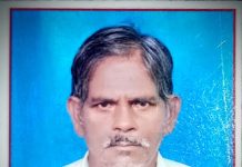 वाघाच्या हल्ल्यात शेतकरी ठार, नागभिड वनपरिक्षेत्रातील मिंडाळा येथील घटना
