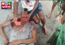 कुऱ्हाडीने शीर धडावेगळे केले हळदी येथिल थरारक घटना