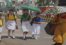 उद्या शाळेला सुट्टी जाहीर सततधार पावसामुळे प्रशासनाचा निर्णय