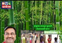 बांबुच्या वनातून फुलली रोजगाराची बाग मुनगंटीवार यांच्या विकासाने मिळविली आंतरराष्ट्रीय प्रशंसा