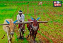 शेतकऱ्यांचे डिमांड कायम ठेवत कृषी पंपांना वीज जोडणी द्या! शेतकऱ्यांच्या हितासाठी आमदार सुधीर मुनगंटीवार यांचे मुख्यमंत्र्यांना निवेदन