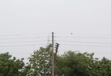 राष्ट्रवादी शहराध्यक्ष अकाश येसनकर यांच्या पाठपुराव्याला यश – झुकलेला विद्युत पोल अखेर बदलला