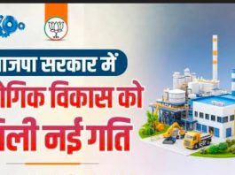 चंद्रपूरच्या औद्योगिक विकासाला नवे बळ