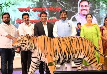 चंद्रपूरच्या प्रगतीचा पाया पारदर्शक आणि लोकाभिमुख प्रशासनामुळेच भक्कम; मुनगंटीवार यांनी व्यक्त केला विश्वास