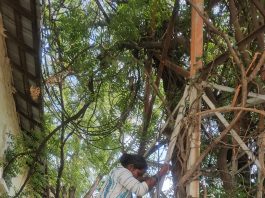 बेलगाव ग्रामस्थांचे पाण्यासाठी महिला चढली टॉवरवर
