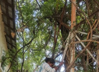 बेलगाव ग्रामस्थांचे पाण्यासाठी महिला चढली टॉवरवर